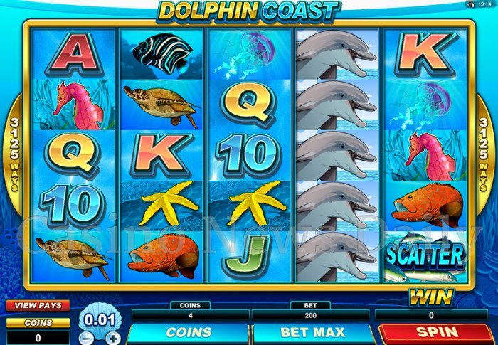 Dolphin Coast Slot Review