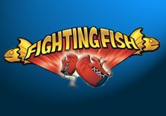Fighting Fish Slot