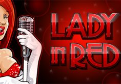 Lady In Red Slot