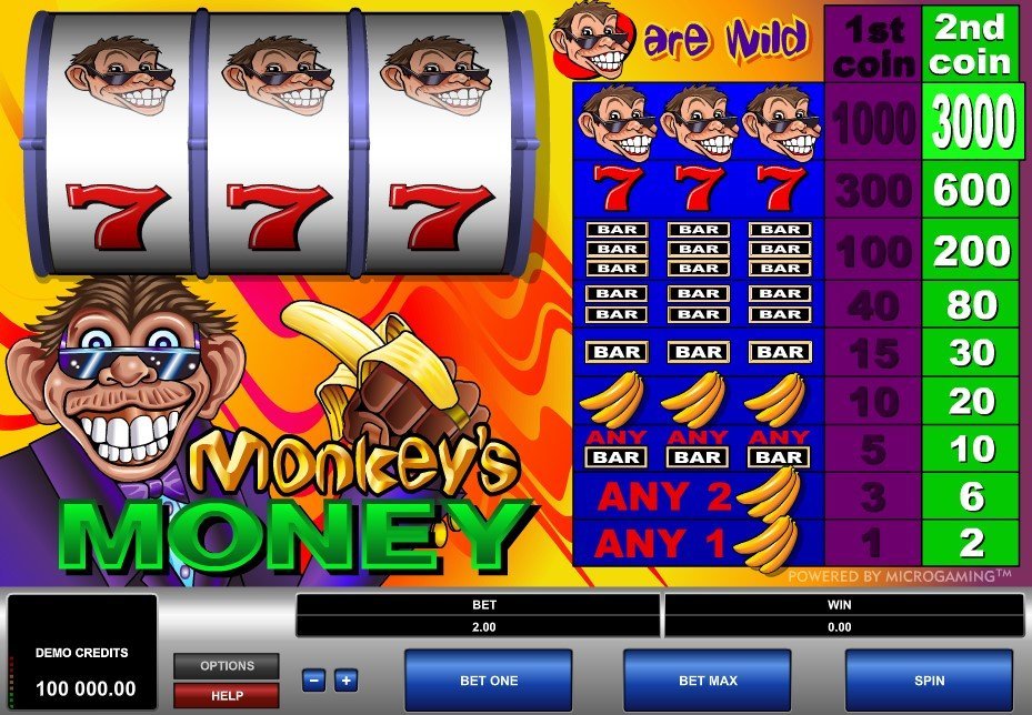 Monkeys Money Slot Review