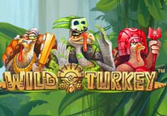 Wild Turkey Slot