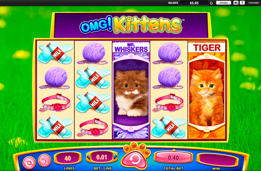 Omg Kittens Slot Review
